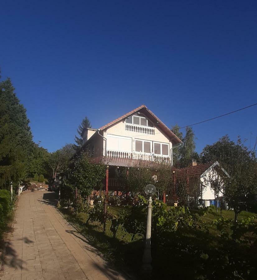 Aleksandar Vila Br Vrdnik Exterior foto