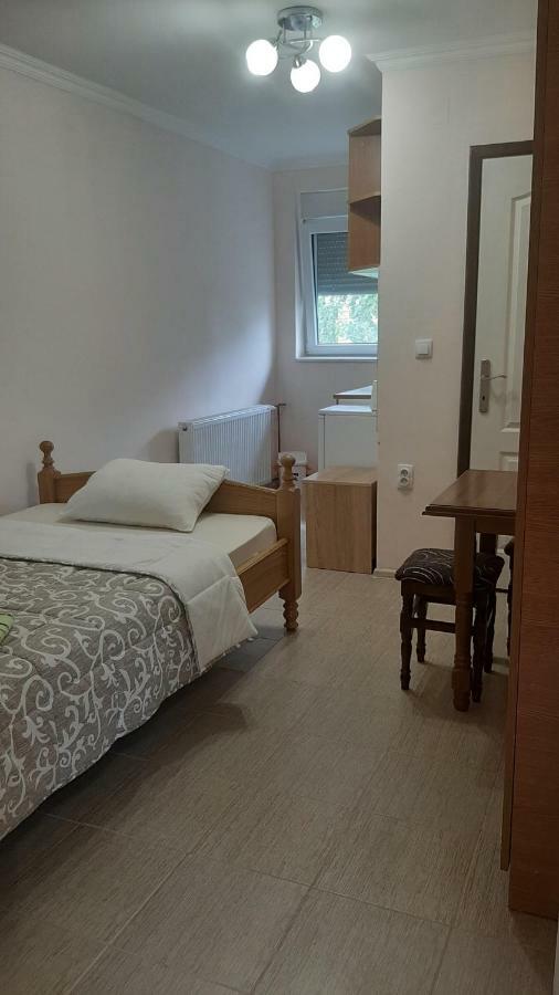 Aleksandar Vila Br Vrdnik Habitación foto