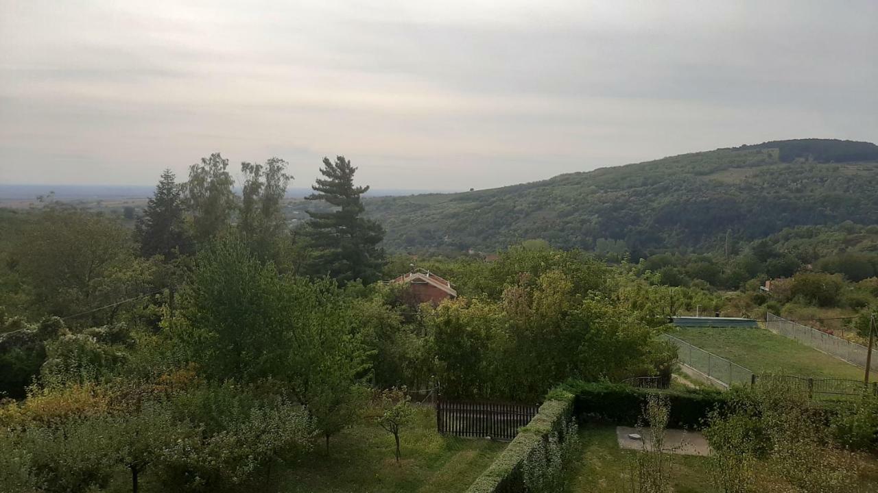 Aleksandar Vila Br Vrdnik Exterior foto