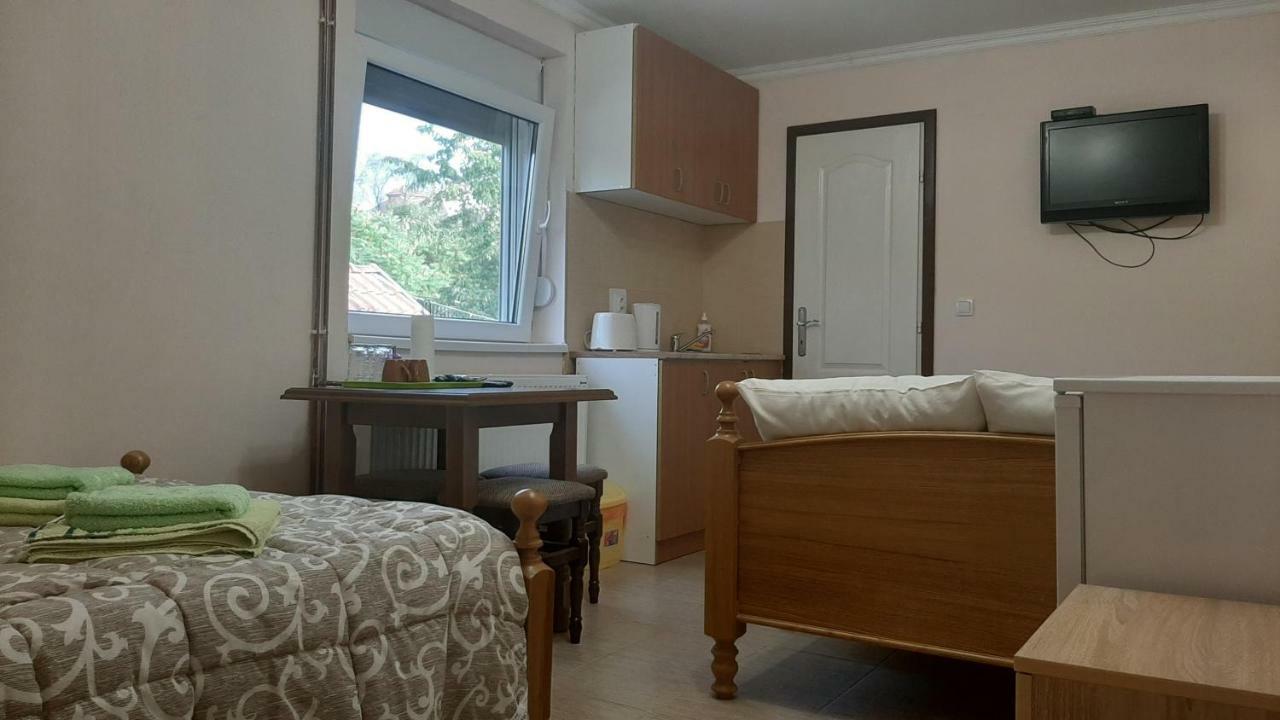 Aleksandar Vila Br Vrdnik Habitación foto
